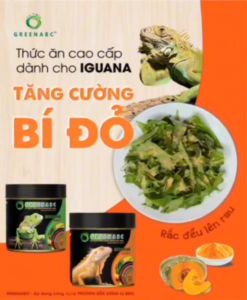 Thức ăn bò sát IGUANA TRƯỞNG THÀNH vị BÍ ĐỎ - Rồng Nam Mỹ GREENABC cho Iguana từ 1m trở lên - Tăng size tăng màu tiêu hóa tốt - Hộp 230g
