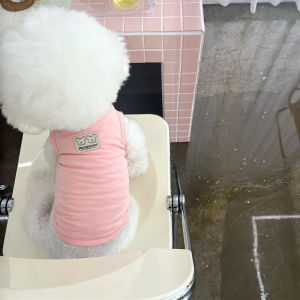 Summer Thin Teddy Cat Vest Schnauzer Bichon Pomeranian Small Dog York Summer Pet Dog Clothes