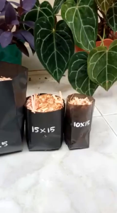 10 Plastik polibek / Polybag 15 x15 u polibag poly bag 15 x 15 pot kantong semai benih bibit tanaman
