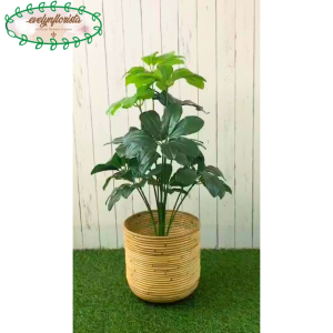 Pohon Hias Imitasi Daun Walisongo X12 Semi Latex Cover Rotan Ulir Dekorasi Rumah Pajangan Sudut Cafe Sudut Balkon