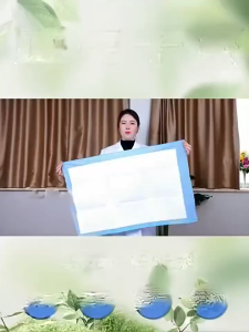 Oldlaiben แผ่นรองซับผู้ใหญ่ แผ่นรองซับ10/20ชิ้น 60x90cm 80×90cm ผู้ใหญ่ แผ่นเสริมซึมซับ ใช้แล้วทิ้ง