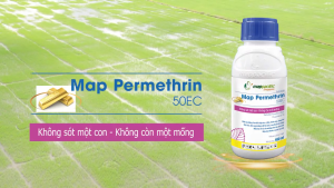 (Mappacific Singapore) Map Permethrin 50EC Chai (100ML) - THUỐC TRỪ SÂU (RỆP SÁP BỌ XÍT MUỖI) - Hàng Hiệu Chính Hãng