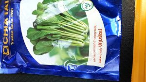 เจียไต๋ กวางตุ้ง ปทุมรัตน์ หมดอายุ 01/2570 ขนาด 500 กรัม ลอตใหม่ งอกดี โตเร็ว แข็งแรง กอใหญ่ สีเขียวสด ผลผลิตสูง ปลูกได้ทั้งปี ระยะเก็บ 30 วัน