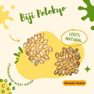 Kapsul Polokyo Kapsul herbal Isi 10 Penghancur lemak