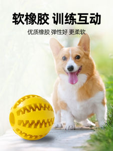 Durable Chew Toy Dental Stick Dog Ball: Perfect for Small Dogs & Teddy Bichons