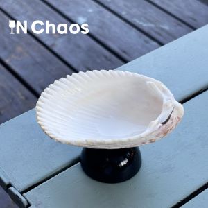 Creative Vintage Natural Bird Tail Shell Jewelry Tray Dessert Plate Fruit Plate Multifunctional Dishware French Style Glass Plate