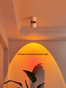 NSWR | Full Spectrum Sunset Lamp Wall-Mounted Spotlights Living Room Corridor Decor