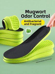 LINGMIAO | Men Anti-Perspiration and Odor-Removing Insoles