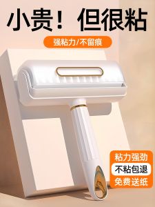 Home Use Strong Hair Remover Roller Brush for Clothes And Hair Sticky Hair Device Plastic Material from China for Cleaning Household
