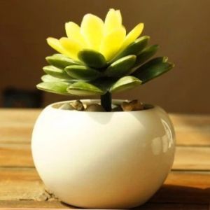 Fashionable European White Porcelain Ceramic Succulent Planters Mini Cute Personalized Flower Pots Creative round Ball Shape