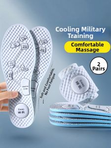 FASHEHAN | Ice Cooling Sweat Absorption Anti-Odor Shoe Pads