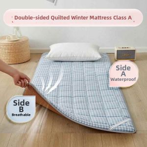 Dual-Season Comfort Sleep Mat
