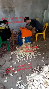 Máy thái lát củ sắncủ khoai năng suất 350 - 500kg/h