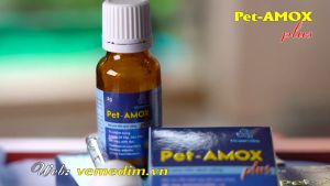 Pet Amox Plus hỗ trợ hô hấp tiêu hóa cho chó mèo - 3gr