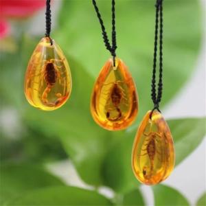 1 Pcs Pendant Necklace Charms Home Decorative Stone Travel Gift Resin Handmake Jewelry Amber Natural Insects