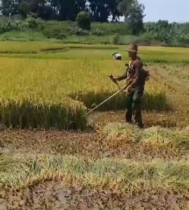 Lồng gặt lúa lồng gom lúa rọ gom cỏ ( Gắn được tất cả các loại máy)