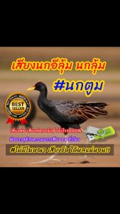 เสียงนกอีลุ้ม เสียงต่อนกอีลุ้ม เสียงล่อนกอีลุ้ม นกตูม ต่อเข้าเร็ว USBแฟลชไดร์ฟเสียงต่อ เสียงดี ชัด100% ไม่มีโฆษณาแทรก