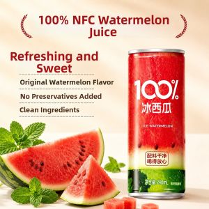 XIANSHIZI | 100% Freshly Squeezed Watermelon Juice Whole Box