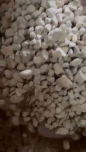 (20 KG) Tanah Diatomit Diatomite SOIL | 硅藻土 |