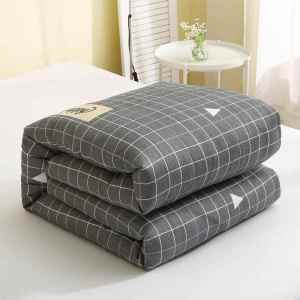 Student Dormitory Thickened Comforter Bed Mattress