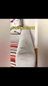 WR fabric sofa cleaner Sofa & Fabric Cloth Dry Cleaner sofa fabric cleaner spray Fabric Stain Remover (1) 布艺清洁剂