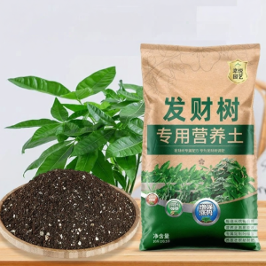 KANGJIEXING | Fortune Tree Planting Soil Flowering Enhancement