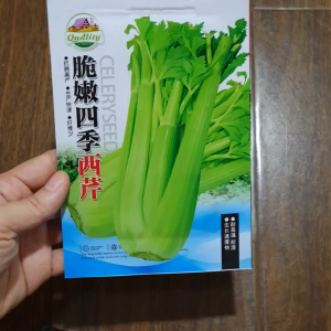 Hạt giống cần tây bẹ to năng suất cao dễ trồng