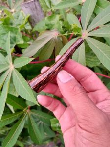 Pipa cangklong kayu liwung macan mini