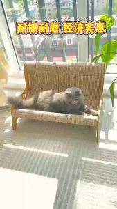 LDECO All-in-One Cat Scratcher Bed & Sofa Cat Scratching Board Lounge Chair - Scratch-Resistant & Durable Cat Furniture