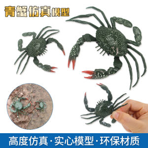Realistic Childrens Toy Green Crab Model Lobster Solid Plastic Decoration Ocean Animal Cognitive Gift Static Animal Model Toy