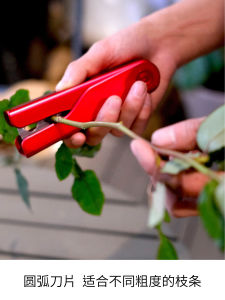 Plastic Rose Thorns Remover Clip Fresh Flowers Flower Mud Floral Art Leaf Removal Tool Garden Supplies Green Plant Simulation