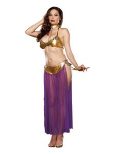 ชุดสาว ชุดระบำหน้าท้อง ชุดระบำแขก ชุดนอนยั่วผัว อ่อยแฟน คอสเพลย์ sm bdsm 315 (รับของ 1-2 วัน)