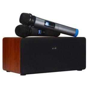 Speedefy Karaoke Machine Bluetooth Speaker with Two Microphones for Home Party