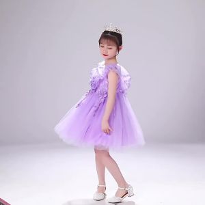 Boys Formal Dress Wedding Dress Summer Womens Mesh Bubble Skirt Princess Purple Dress in Stock Childrens Princess Dress Girl