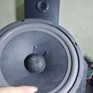 loa bass 25 bmb từ kép 113-100 coil 38 cực chất