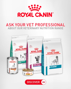 Royal Canin Veterinary Dry Dog Food | Renal / Hypoallergenic / Gastro / Satiety / Urinary S/O