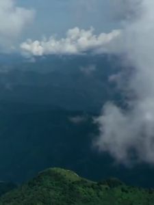 💗🙋‍♀️💗陈一堂御金清肤抑菌软膏草本乳膏