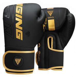 GINGPAI | Găng Tay Boxing & Võ Đối Kháng Tập Luyện & Thi Đấu Phù Hợp Mọi Lứa Tuổi