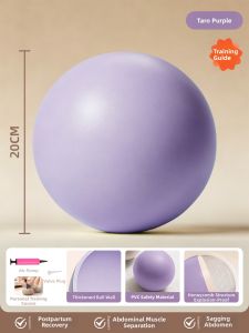Postpartum Pelvic Floor Repair Core Stability Fitness Ball