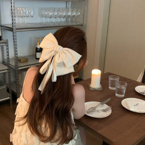 New Fairy Large Butterfly Knot Sash Hair Clip Women Level Sensation Back of Head Top Clip Spring Clamp Hair Card Holder