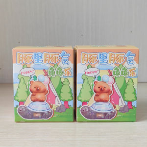 Cute Blind Box Capybara Pig Turtle Glowing Night Light Toy Decoration Interactive Fun Gift in Stock Static Collectible Figure