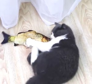 UMI 3D Funny Soft Artificial Simulation Fish Shape Pillow Pet Cat Kucing Ikan Mainan Plush Toys Scratcher Cardboard 猫玩具