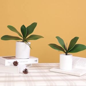 ORCHID LEAVES Highly Simulated Phalaenopsis artificial Leave Leaf Flower Plant Latex Decor Daun Orkid Bunga Hiasan Rum
