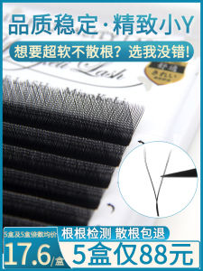 Ultra Soft 0.05Y BCD Barbie Curl Eyelashes Professional Bridal Salon Extension Tool Easy to Use Normal Specification Eyelashes