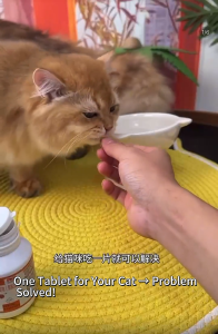 Local Stock 全崇净猫咪狗狗驱虫百虫净虫立净宠物驱虫抖音快手视频同款正品 COD