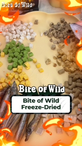 Bite Of Wild Freeze Dried 40g For Chicken Liver& Raw Fresh Meat& Egg Yolk High Protein Makanan Kucing