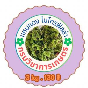แหนแดง ไมโครฟิลล่า 1 kg. 45 ฿