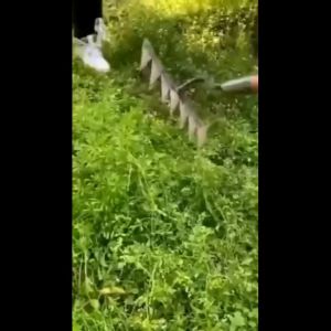 KANGBAN ฟันคราดหญ้า คราดเหล็ก คราดหญ้า คราดทำสวน มีดจอบ คาดหญ้า คาดหญ้าเหล็ก 6 ฟัน 5 ฟัน 4 ฟัน hoe