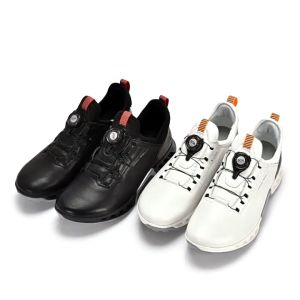 Giày Golf Ecco nút vặn - Giày Golf Nam - Mẫu mới nhất 2024