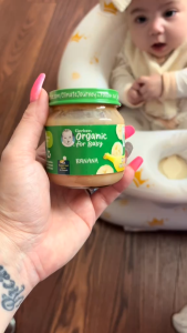 ZÉRA Mom - Gerber Baby Food Organic Puree Glass Jar 6m+ (113g) – Apple Banana / Banana / Carrot | Purée Bayi Organik